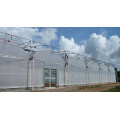 Natural Ventilation Single Span Greenhouse