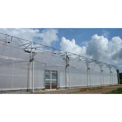 Agricultural Plastic Film Covered Greenhouse