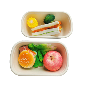 Sugarcane Tableware 1200ML Disposable Food Containers