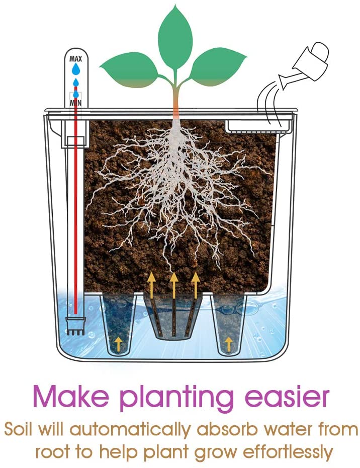 Planter Box