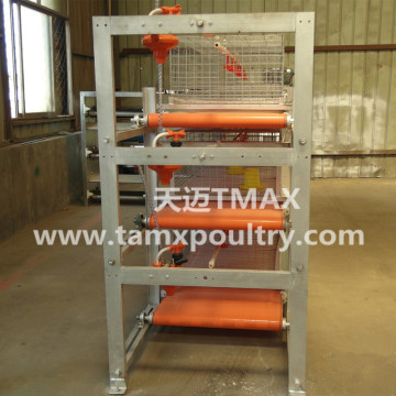 Manure Removal System for Poultry Cage System