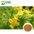 Chelidonium Majus Extrakt / Chelerythrin Celandine Extract