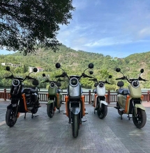 Adult Motor Scooter with customizable colors