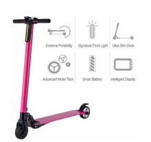 Light Weight Two Wheel Electric Kick Scooter & Surfing Scooter