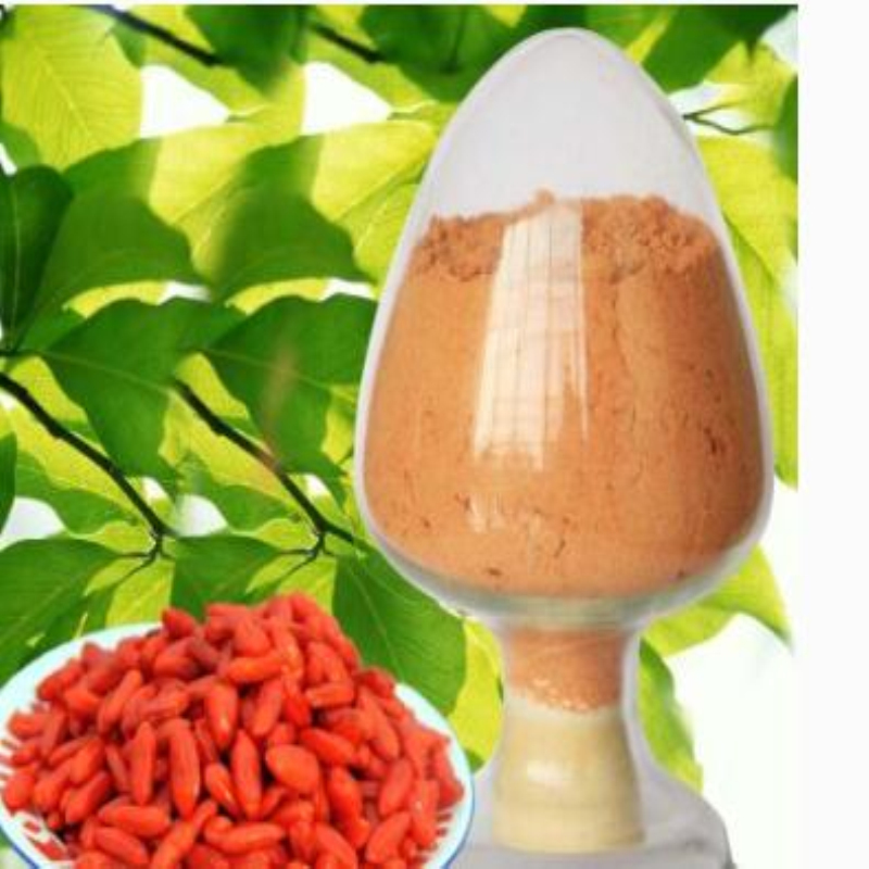 Goji Berry / Wolfberry / Lycium Barbarum / Goji Pulver