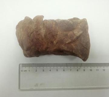 Freeze-dry Pet Food Beef Lung