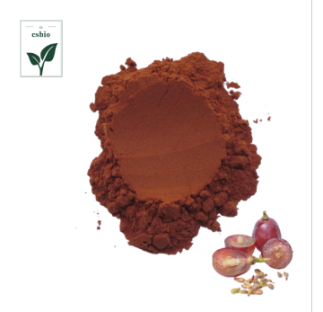 Organic Grape Seeds Extract Powder