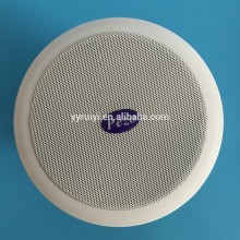 surround sound public address system ceiling mount speaker