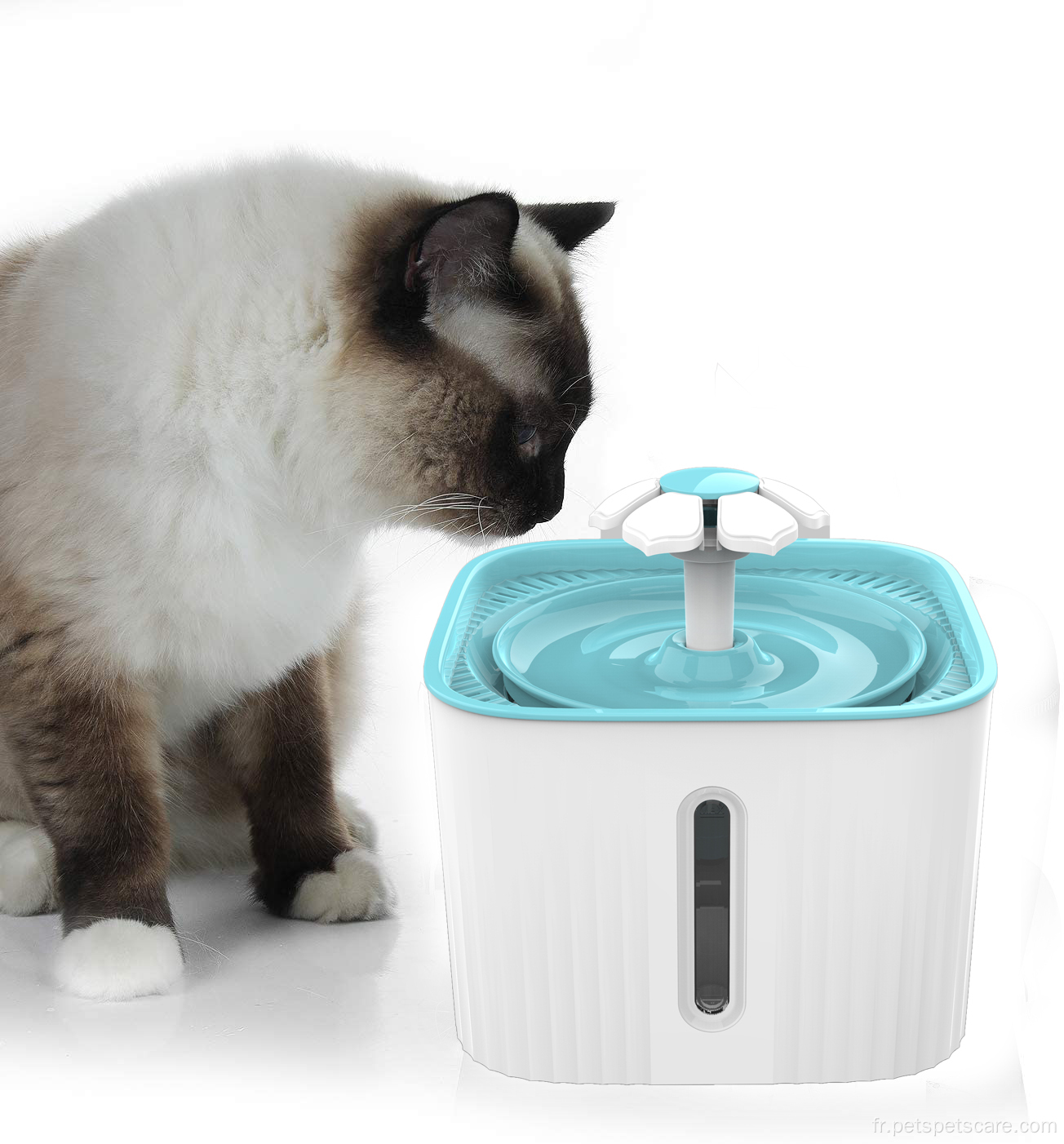 Fontaine d'eau de chat 2.5L avec filtres