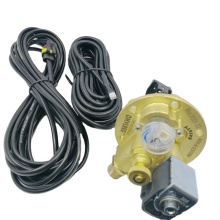 Factory Direct Sales: ROEN 03 Style Multivalve for Autogas - Cheap Price