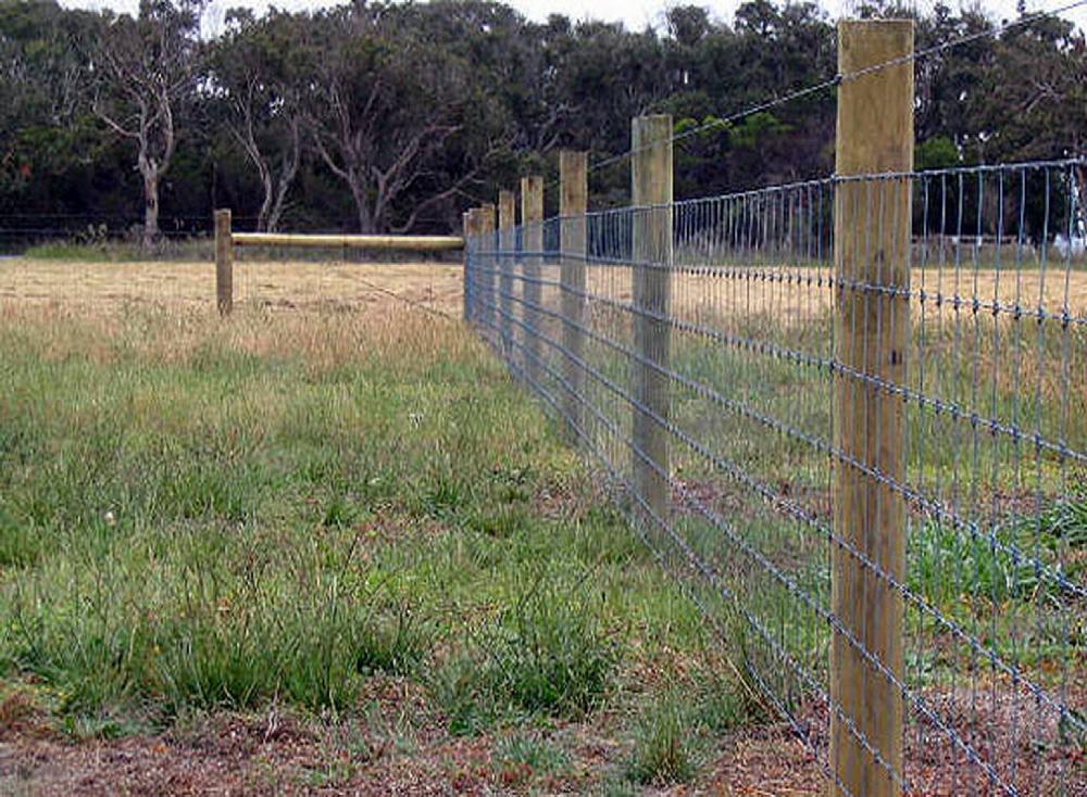 PVC Coated Field Fence Deer Farm Fence