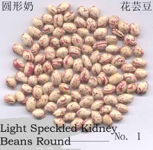 New Crop LSKB Round Shape