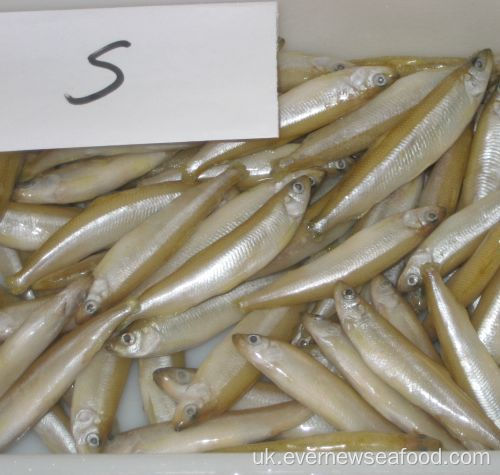 Заморожені морепродукти ставкова корюшка