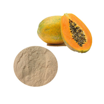 Papaya fruit extract powder