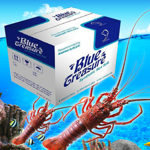 Marine Sea Salt for Breeding Lobster and Shrimp