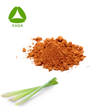 OEM Lemongrass / Lemon Grass Extract Powder 10:1