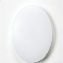 Flush mount LED ceiling lamp