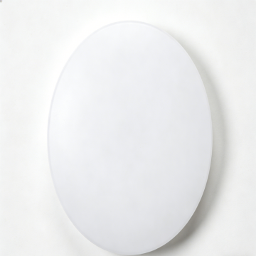 Flush mount LED ceiling lamp