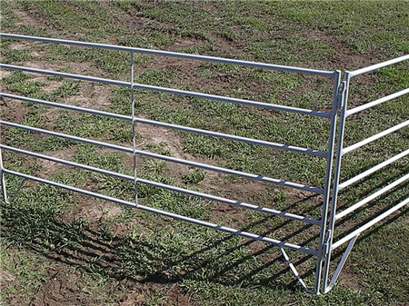 Hot Dipped Galvanized Cheap Sliver Sheep Horse Fence