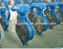 Worm gear butterfly valve