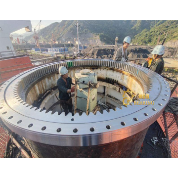 Slew Ring Manufacturer for Excavator Swing Bearings