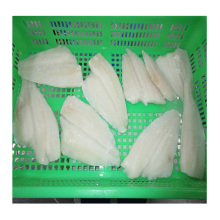 yellow fin sole single fillet,yellow fin sole fish fillets,sole fish fillet