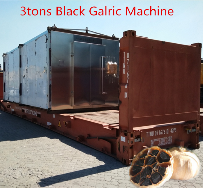 black garlic machine to Ukrine