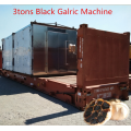 Large Capacity Black Garlic Fermentation Machine Price