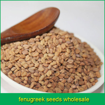 fenugreek seeds wholesale