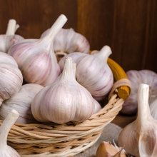Fresh Garlic Bulbs for Cooking and Medicinal Use