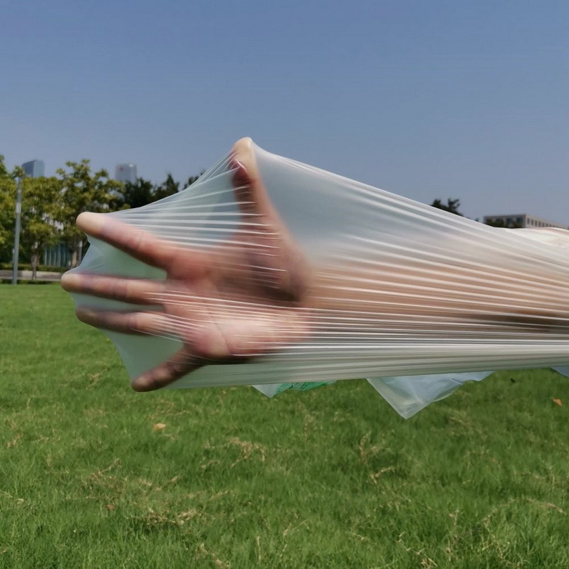 Clear Plastic Bag for Home 