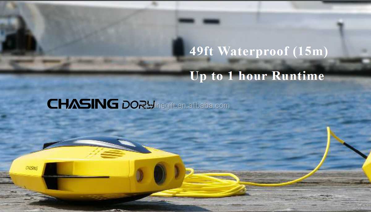 Underwater Drone CHASING DORY Underwater photos and videos for underwater exploration