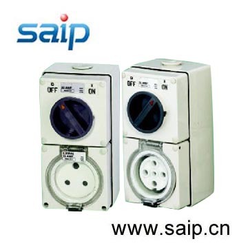 Wall Switch Combination Switched Sockets (56CV310)