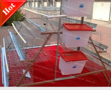 Hot Sales for Broiler Breeder Layer Cage
