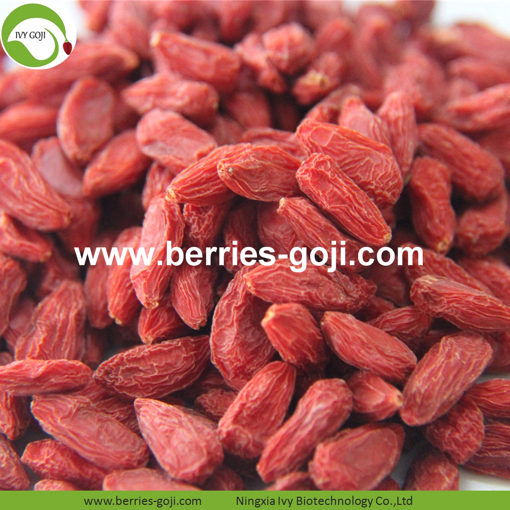 Goji-Beeren goji berry
