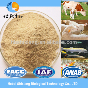 high protein yeast extract powder