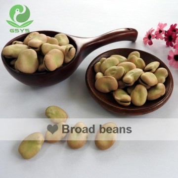 Chinese broad beans 50-60 beans/100g Qinghai origin