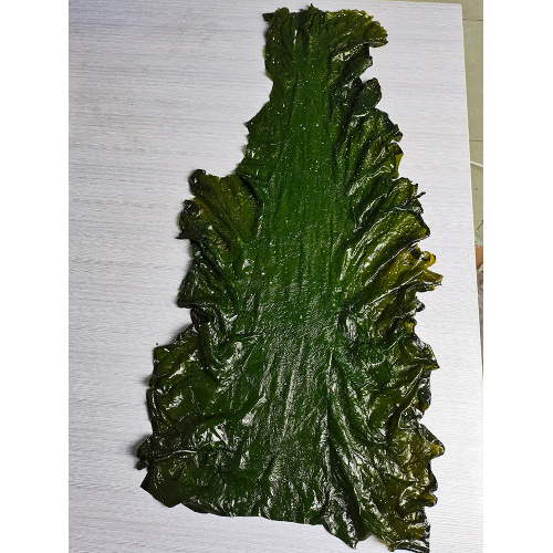 Seaweed Food Seetang First Cut Board