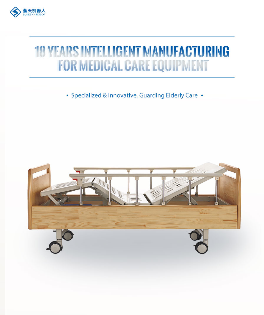 Cama médica ajustable de 2 funciones 2 function adjustable medical bed
