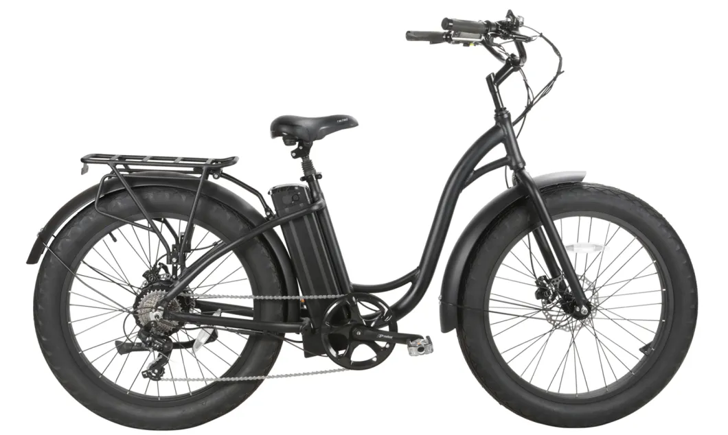 New 48V500W Electric City Bicycle Big Tire ODM Service