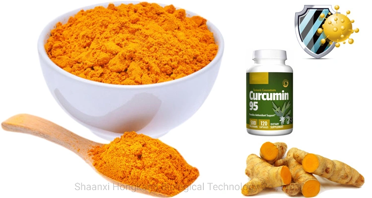Free Samples Herbal Extract Turmeric Root Powder 95%/98% Curcumin for Food Additives