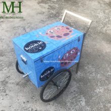 Ice Cream Push Carts: Trolleys and Ice Cream Carts for Food Vending
