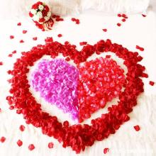 Dried Home Party Decoration Confetti Artificial Rose Petals