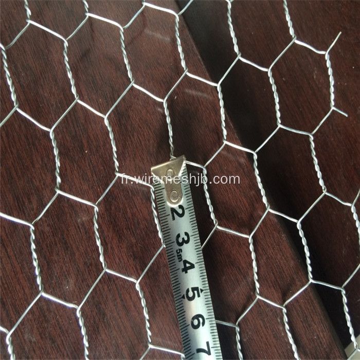 1/2 treillis métallique hexagonal pour enclos animal