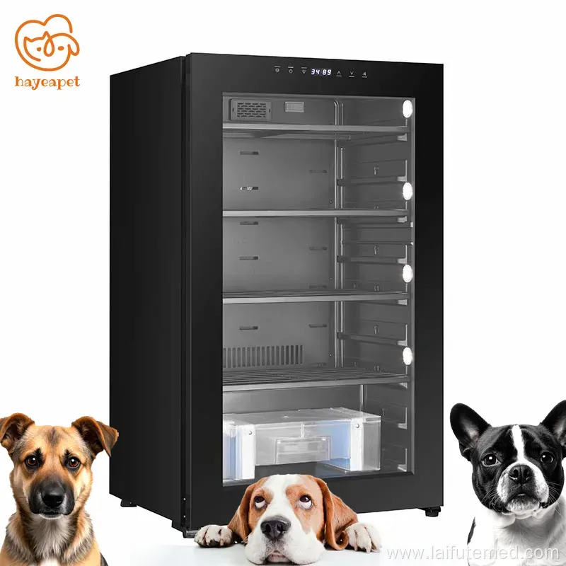 Essential for Animal Hospitals: Canine & Feline ICU, Hyperbaric Oxygen Chamber & Pet Incubator