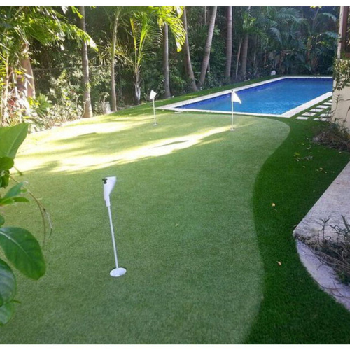 Carpet Grass Price for Golf Field