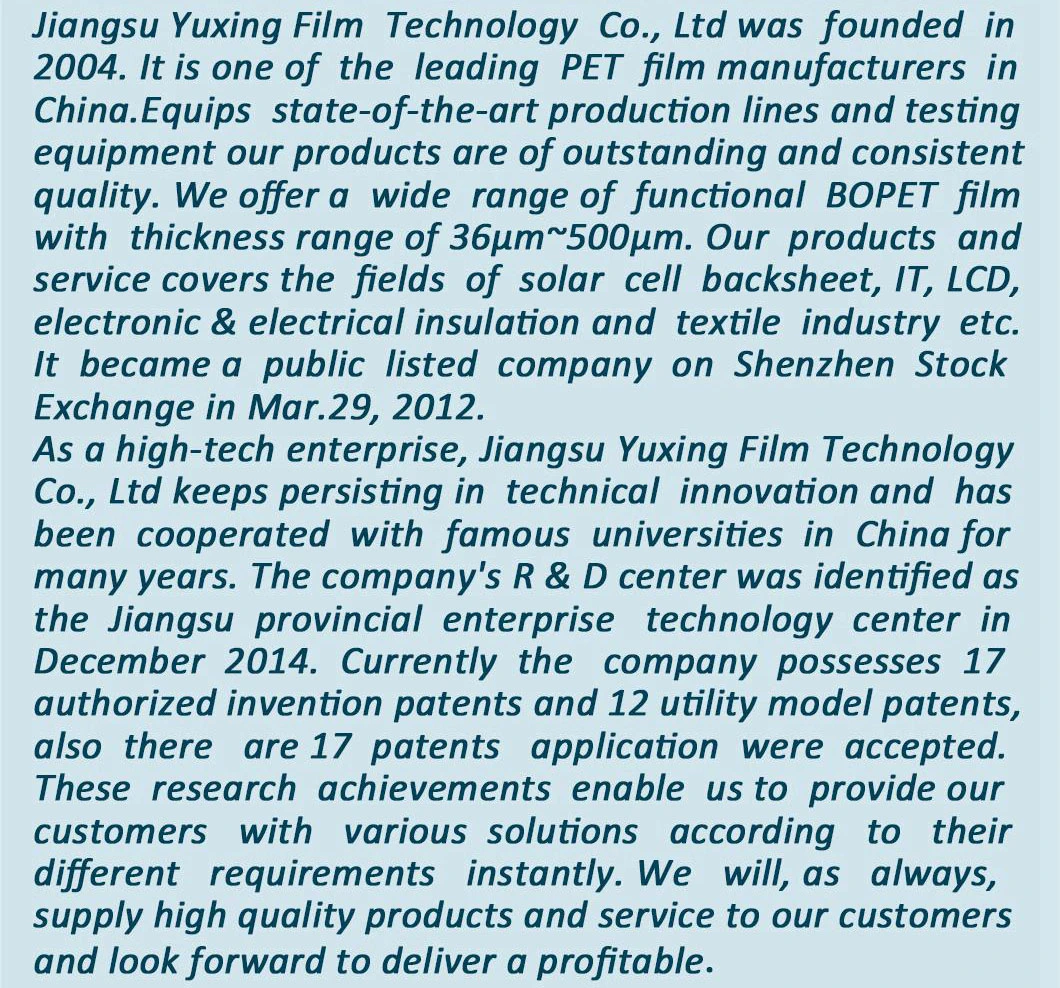 50-500μ M Insulation Pet Film with UL (CY30G)