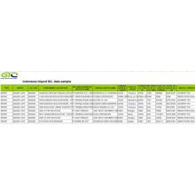 Excavator Indonesia Import Data