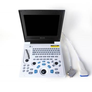 Laptop Ultrasound For Persian Cat Bladder