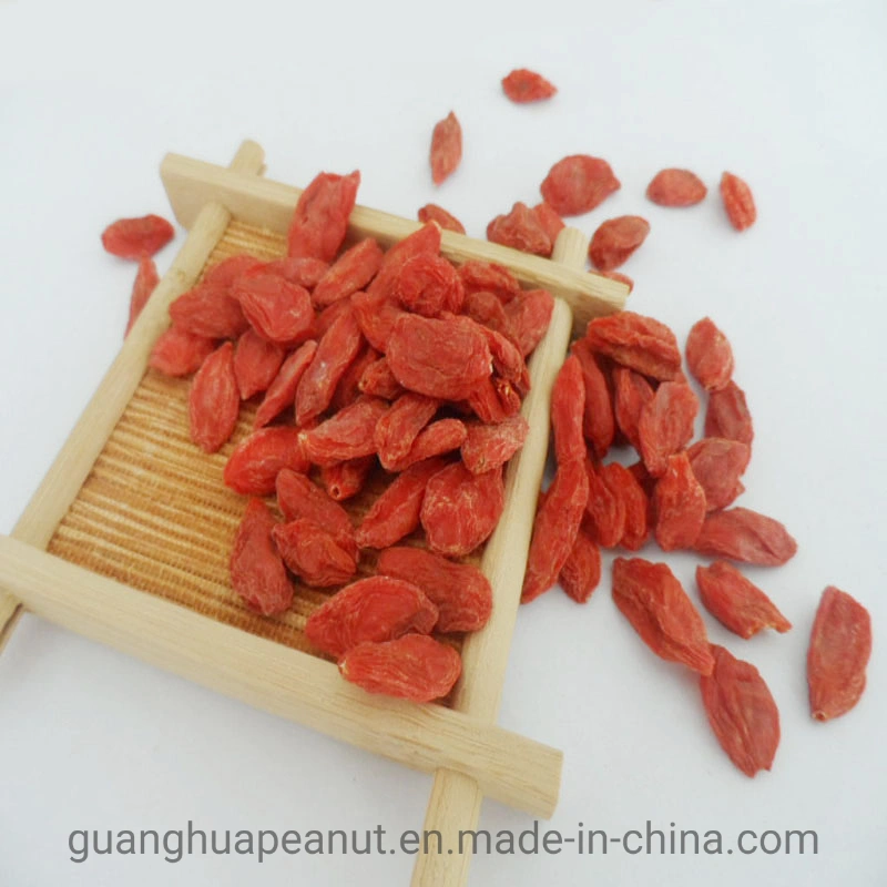 Healthy Hot Sale China Dried Goji Berry